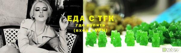 индика Гусиноозёрск