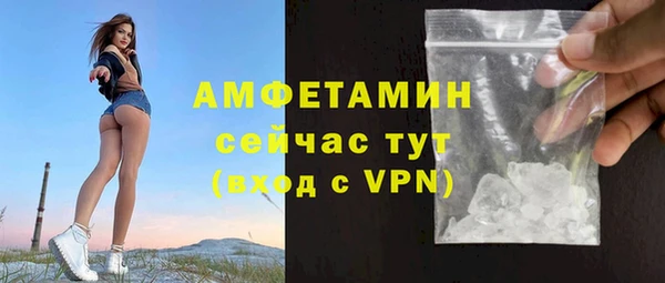 индика Гусиноозёрск