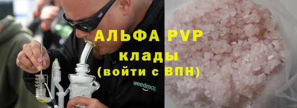 индика Гусиноозёрск