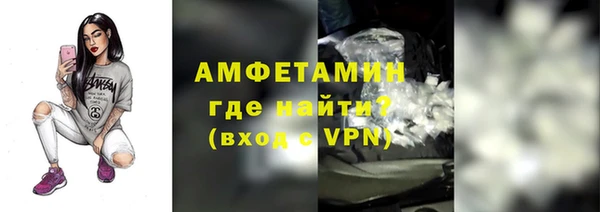 индика Гусиноозёрск