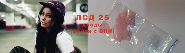 ПСИЛОЦИБИНОВЫЕ ГРИБЫ Гусев