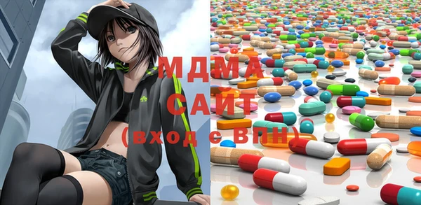 ПСИЛОЦИБИНОВЫЕ ГРИБЫ Гусев