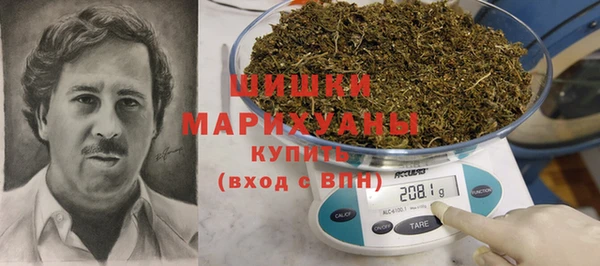 ПСИЛОЦИБИНОВЫЕ ГРИБЫ Гусев