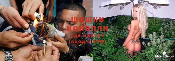 гашик Гусь-Хрустальный