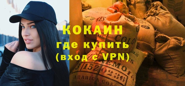 индика Гусиноозёрск