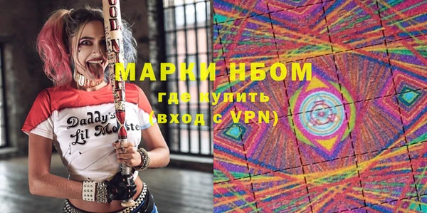 индика Гусиноозёрск