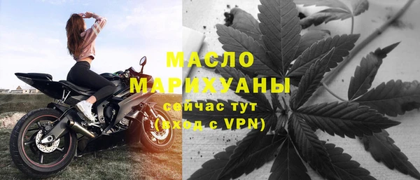 гашик Гусь-Хрустальный