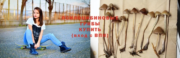 гашик Гусь-Хрустальный