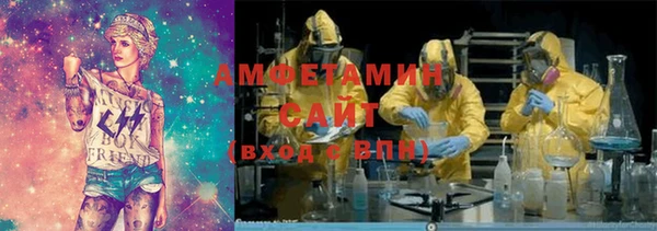 ПСИЛОЦИБИНОВЫЕ ГРИБЫ Гусев