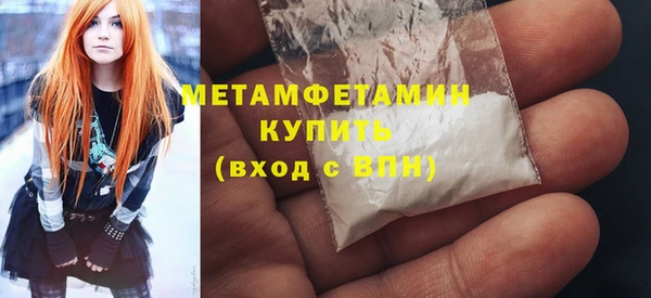 ПСИЛОЦИБИНОВЫЕ ГРИБЫ Гусев