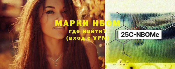 ПСИЛОЦИБИНОВЫЕ ГРИБЫ Гусев
