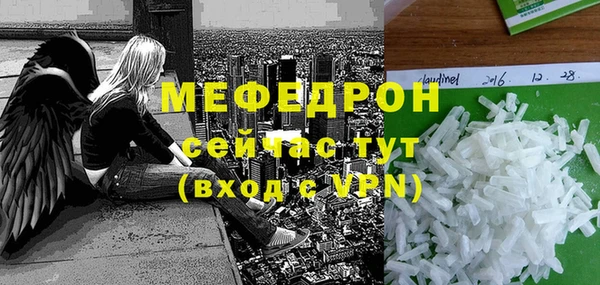 индика Гусиноозёрск