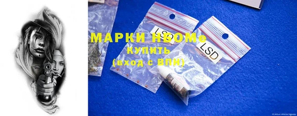 ПСИЛОЦИБИНОВЫЕ ГРИБЫ Гусев