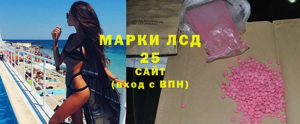 ПСИЛОЦИБИНОВЫЕ ГРИБЫ Гусев