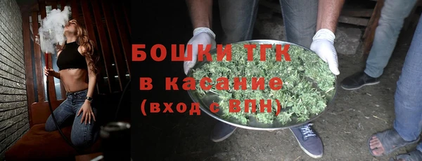 ПСИЛОЦИБИНОВЫЕ ГРИБЫ Гусев