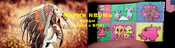 индика Гусиноозёрск