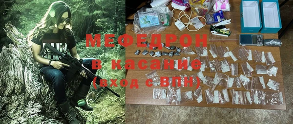 индика Гусиноозёрск