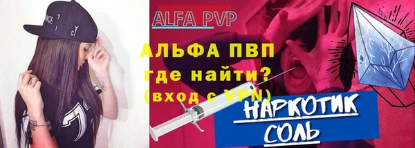 индика Гусиноозёрск
