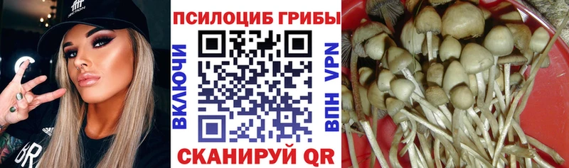 Псилоцибиновые грибы MAGIC MUSHROOMS  где можно купить наркотик  hydra зеркало  Старый Оскол 